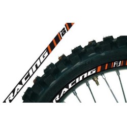 Kit Adesivi Cerchi Blackbird (Arancione)