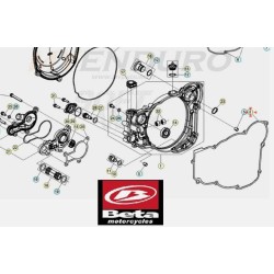 Guarnizione Coperchio Frizione Interno BETA RR 250/300, XTRAINER 250/300