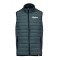 Gilet Piumino BETA (Grigio)